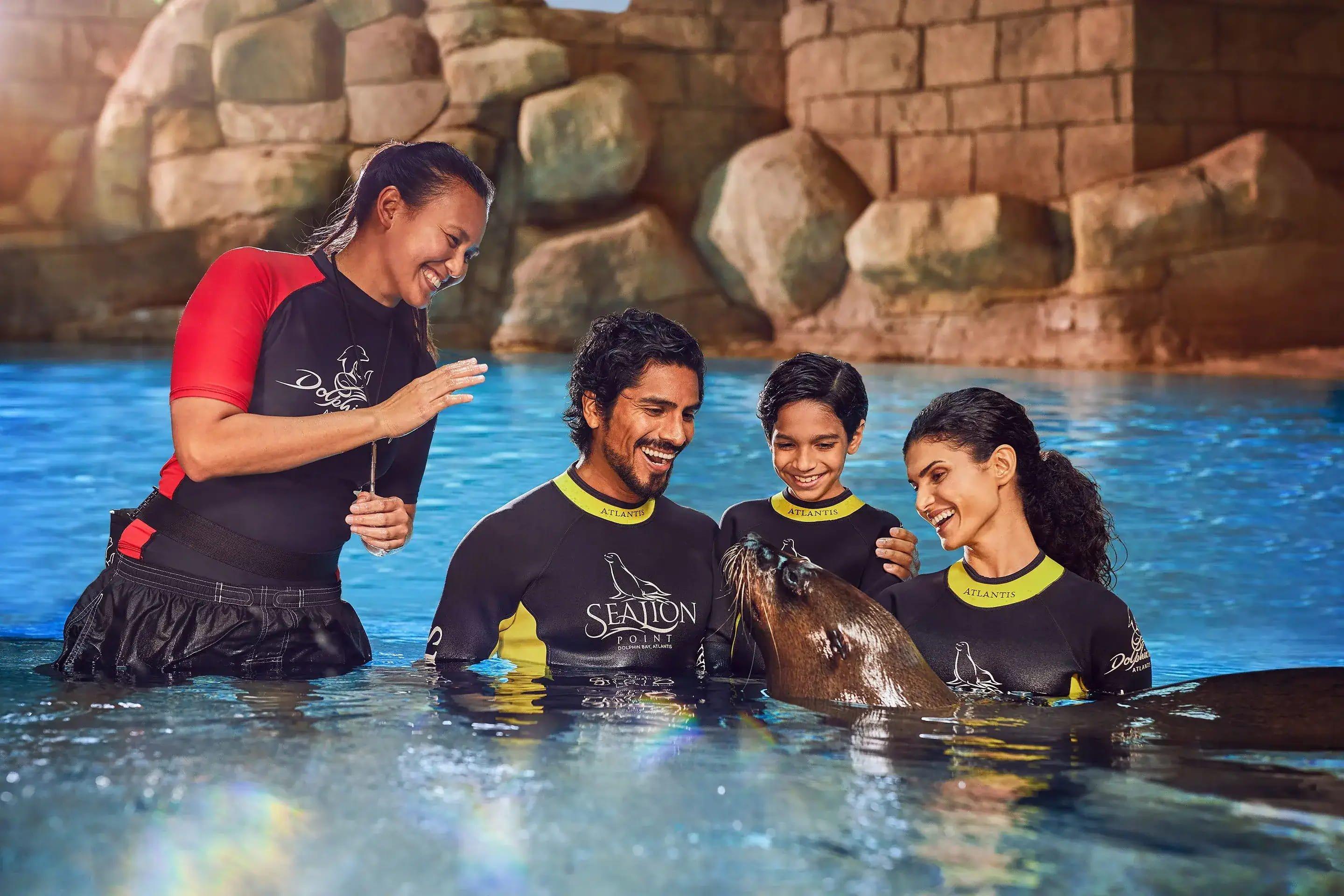 Sea Lion Encounter